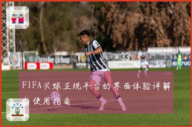 FIFA买球正规平台的界面体验详解与使用指南