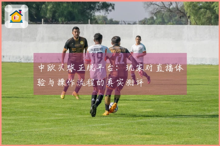 中欧买球正规平台：玩家对直播体验与操作流程的真实测评