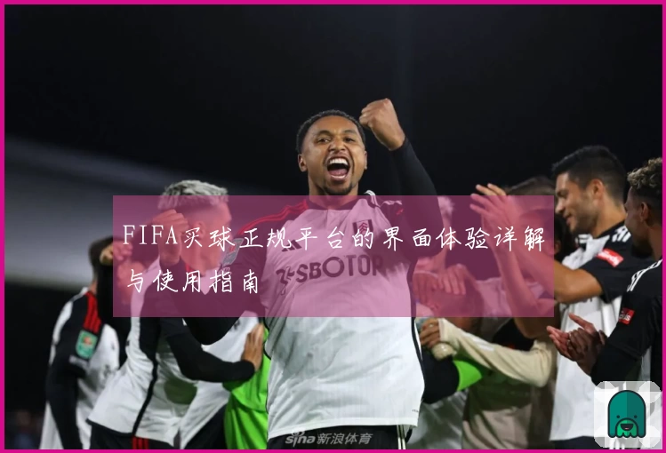 FIFA买球正规平台的界面体验详解与使用指南