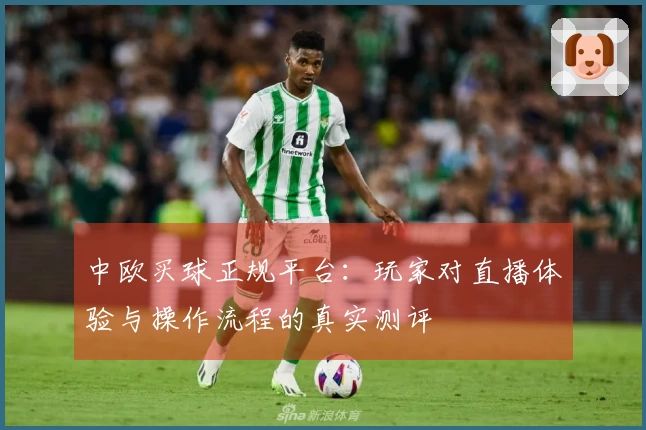 中欧买球正规平台：玩家对直播体验与操作流程的真实测评