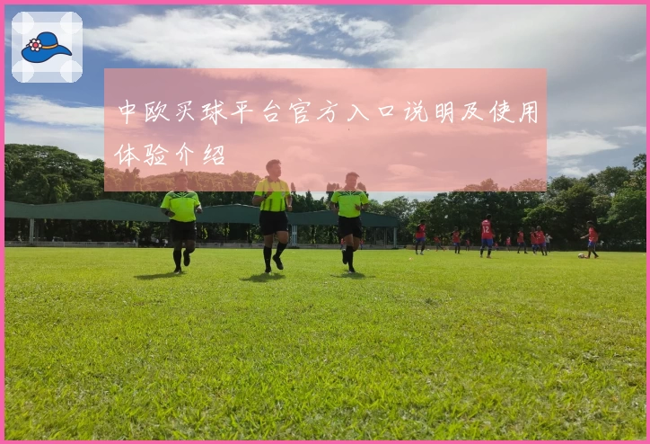 中欧买球平台官方入口说明及使用体验介绍