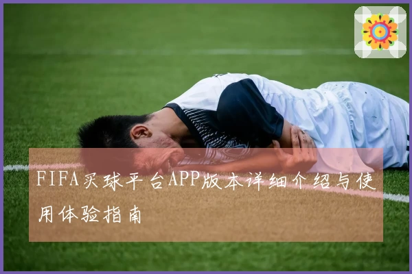 FIFA买球平台APP版本详细介绍与使用体验指南